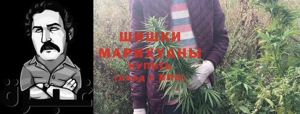 стаф Мегион