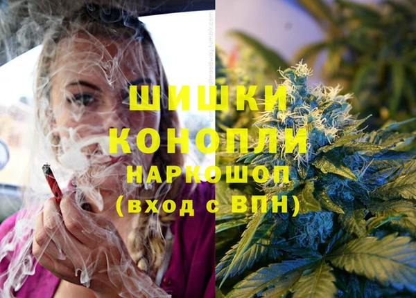 стаф Мегион