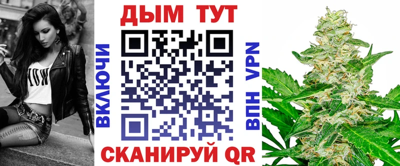 Бошки Шишки сатива  Островной 